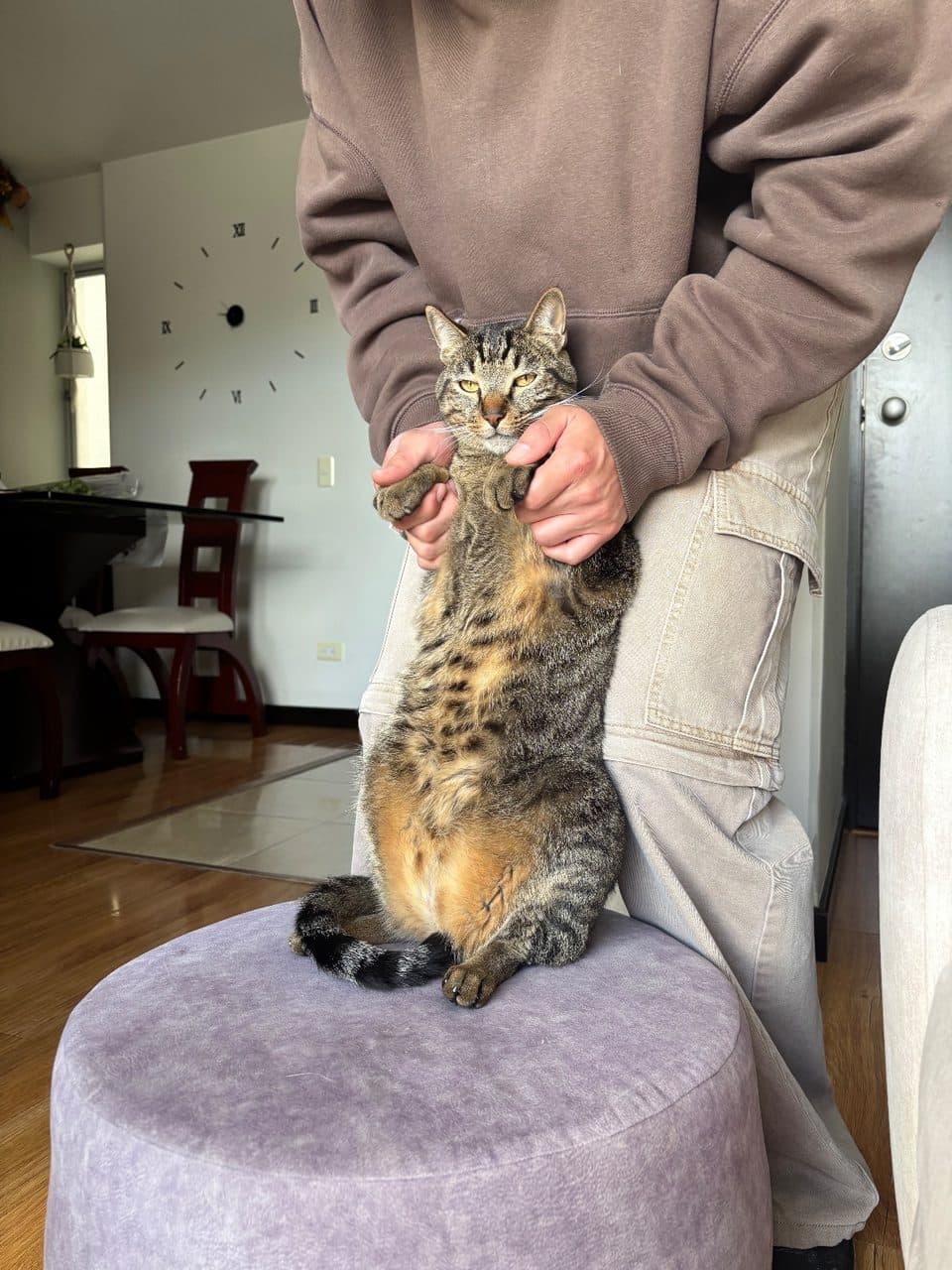 Emilio